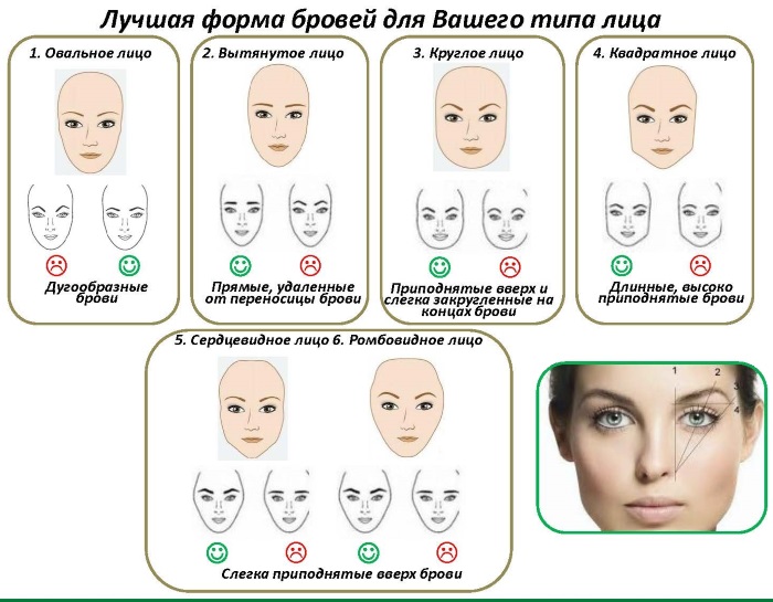 Eyebrow shape by face type. Photos are straight, rounded, ascending, descending, thin, small. Makeup tips and tutorials