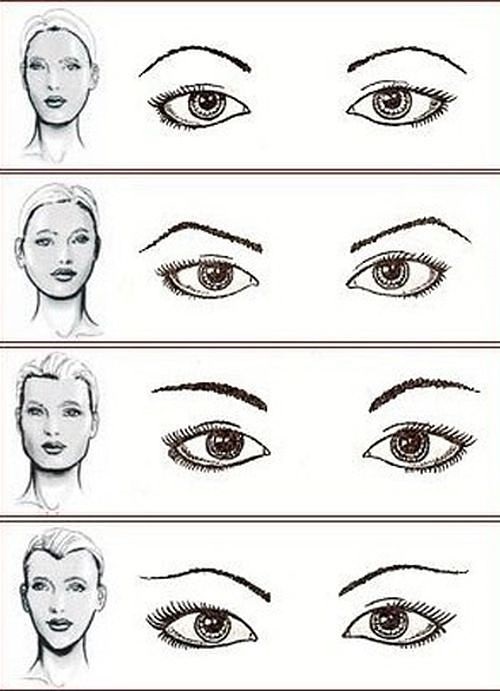 Eyebrow shape by face type. Photos are straight, rounded, ascending, descending, thin, small. Makeup tips and tutorials