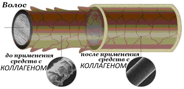 Collagene per capelli. Tipi, caratteristiche, vantaggi e danni, conseguenze dell'uso