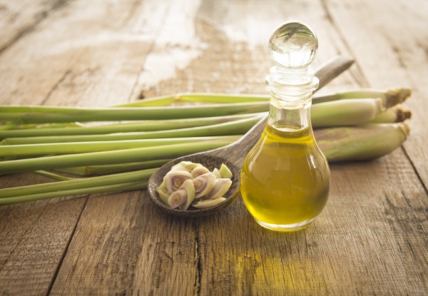 Fuco. Proprietà utili, composizione, istruzioni per l'uso delle alghe. Ricette per maschere viso, dimagranti, impacchi, stimolazione del lavoro