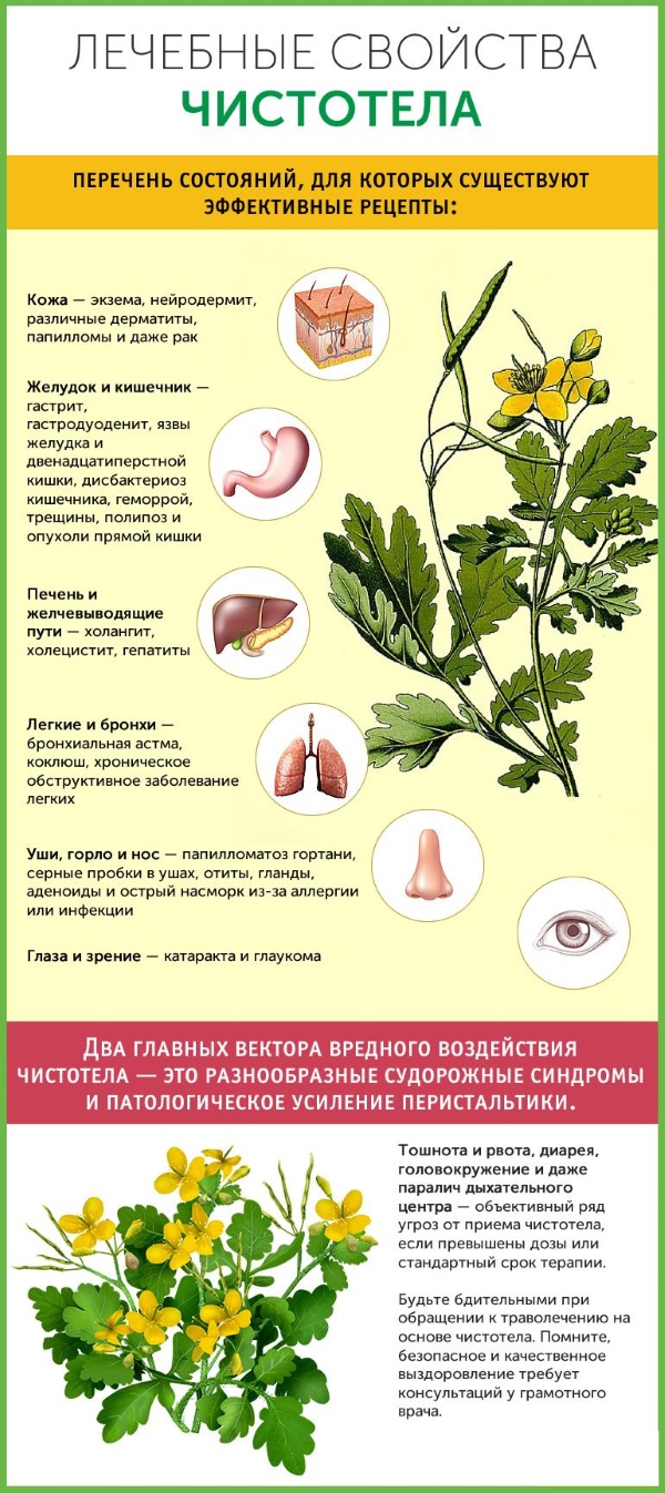 Olio di celidonia. Proprietà e applicazione per malattie della pelle e fungine, in cosmetologia, ginecologia