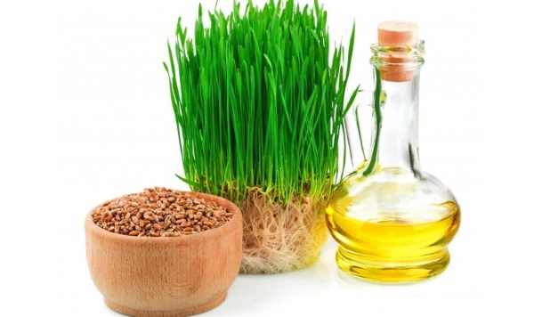 Wheat germ oil: properties, composition, application for face, hair, eyelashes, nails, and stretch marks. Price and where to buy