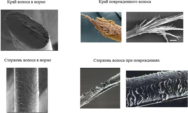 Punti salienti sui capelli neri. Foto: bianco, rosso, colore. Come fare per capelli corti, lunghi, di media lunghezza, tinti