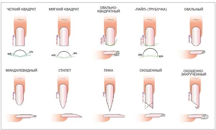 Estensione delle unghie con gel. Istruzioni fotografiche per principianti. Quale gel è migliore, tecnologia sulle forme, suggerimenti