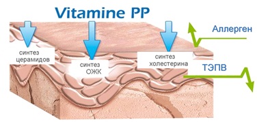 Niacinamide for face skin, hair, against age spots. Properties, as applicable, instruction