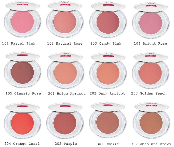 Blush. How to apply and match for different face types. Review of the best manufacturers