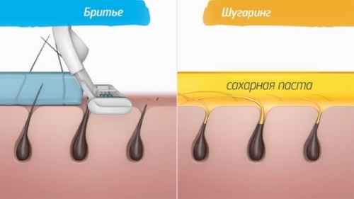 Sugar paste for sugaring. Recipe at home. Which one is better to buy: Gloria, Arabia, Oasis, Start Epil, Saona. How to use