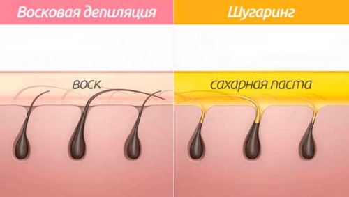 Sugar paste for sugaring. Recipe at home. Which one is better to buy: Gloria, Arabia, Oasis, Start Epil, Saona. How to use