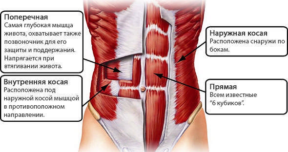 Belly vacuum. How to do exercises correctly, technique for losing weight, pumping up the press, tummy tuck after childbirth