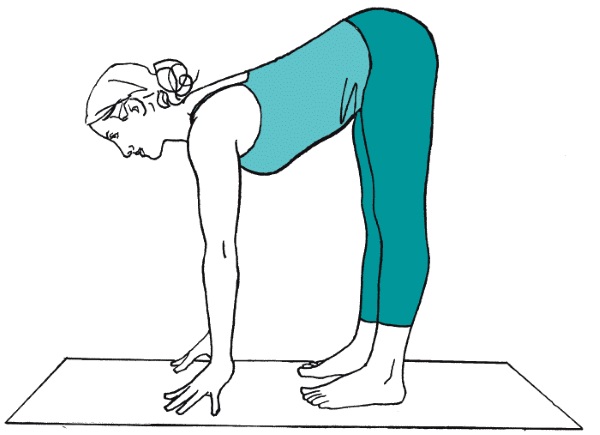 Yoga for the back and spine: features, indications and contraindications, a set of simple exercises, the best asanas. Video for beginners