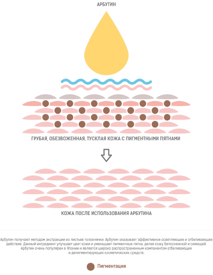 What is hydroquinone, application in cosmetology: whitening creams, peeling, ointment, tablets. Achroactive max, reviews