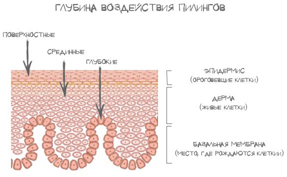 What is hydroquinone, application in cosmetology: whitening creams, peeling, ointment, tablets. Achroactive max, reviews