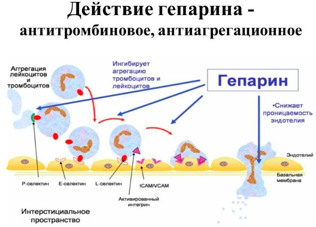 Heparin ointment for the face in cosmetology. Properties and applications for wrinkles, bruises, bags, puffiness under the eyes