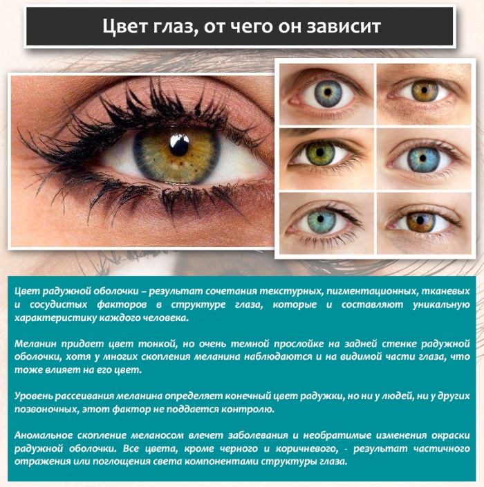 How to change eye color. What are the colors, surgery to change, drops with hormones