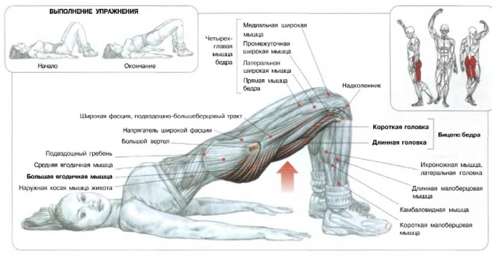 Come pompare i glutei a casa per le ragazze: esercizi, squat, affondi, allenamento