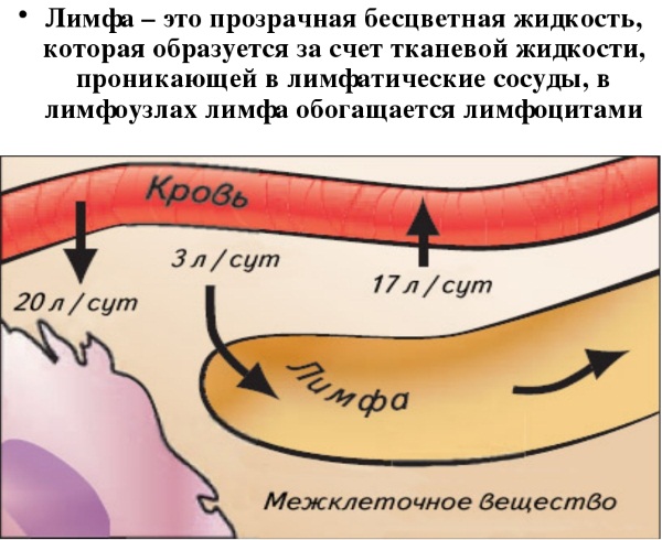 Lymphatic drainage massage for face and body. Hardware and manual technique, how to do it at home