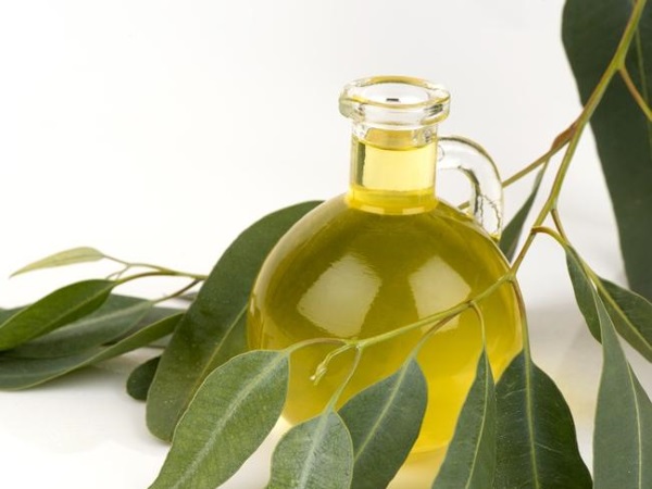 Massage oils and their properties. Basic and essential for erotic, anti-cellulite, healing, anti-aging