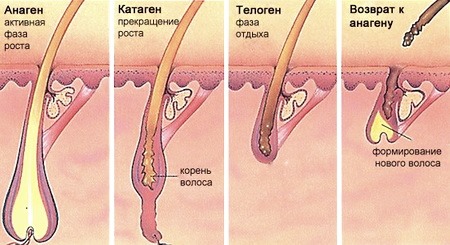 Pantovigar. Instructions for use, composition, how to take vitamins against hair loss, for hair growth. Analogs