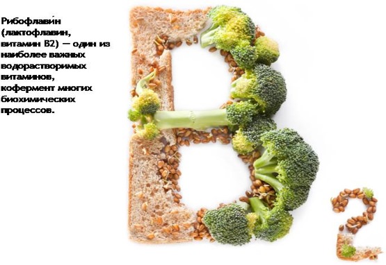 Perfectil Vitamine tricologiche per capelli. Composizione, istruzioni, indicazioni per l'uso, analoghi, prezzo