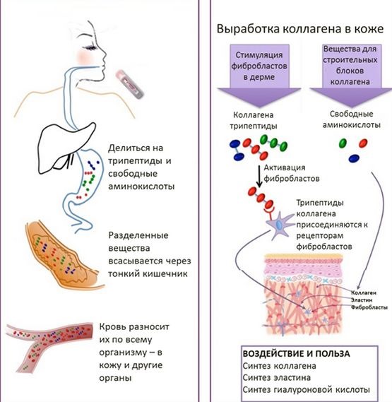 Perfectil Vitamine tricologiche per capelli. Composizione, istruzioni, indicazioni per l'uso, analoghi, prezzo