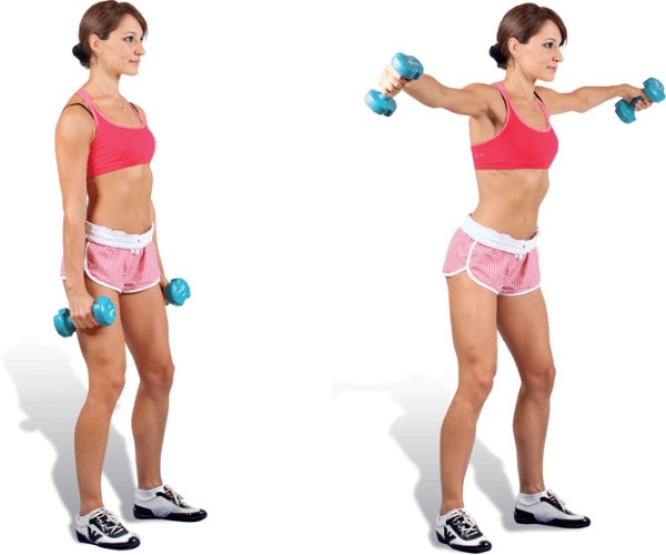 Dumbbell training program for all muscle groups. Workout plan for girls