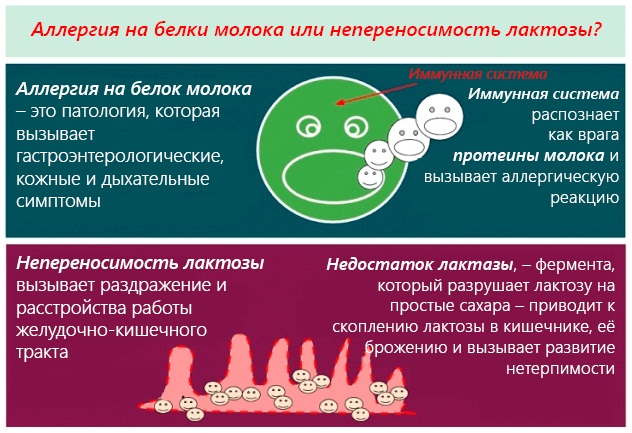 Selencin for hair: shampoo, tablets, spray, mask, lotion, vitamins. Composition, instructions for use