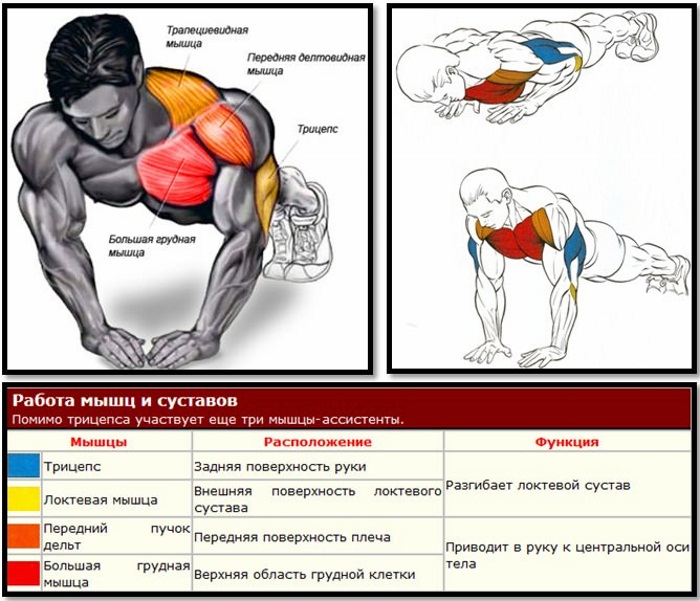 Dumbbell Triceps Exercises for Women. Complex for beginners at home and in the gym