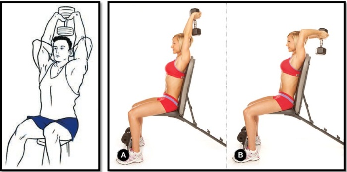 Dumbbell Triceps Exercises for Women. Complex for beginners at home and in the gym