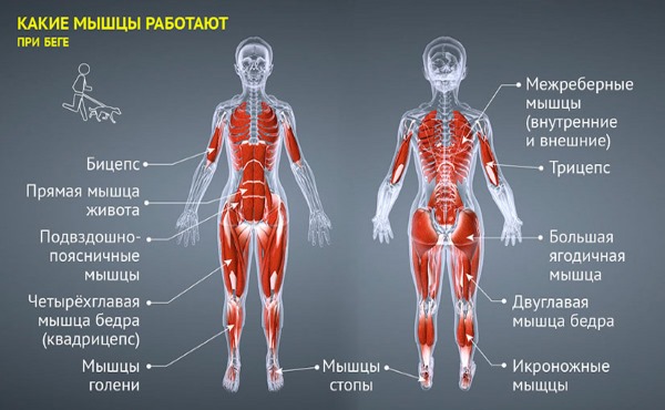 Jogging in the morning for weight loss. Pros and cons, when is the best, how to start. Results, schedule, rules