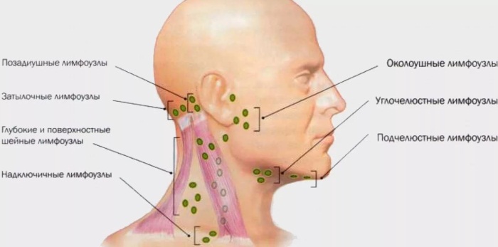 Flew on the face: what is it, how to remove. Exercise, gymnastics, massage to tighten at home