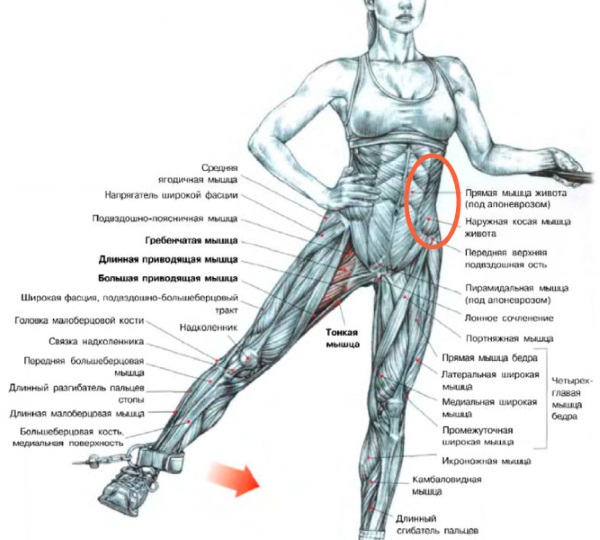 Come rimuovere le orecchie sulle cosce in una settimana: esercizi, liposuzione, coppettazione, impacchi