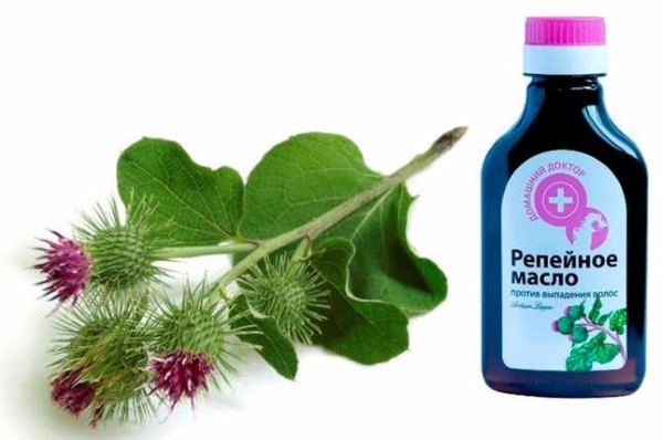 Patchouli essential oil. Properties and application for hair, face, magical to attract money, how to use in cosmetology