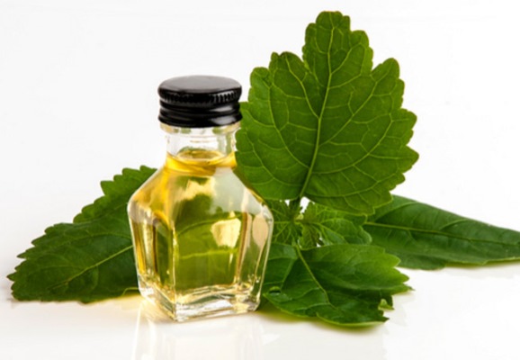 Patchouli essential oil. Properties and application for hair, face, magical to attract money, how to use in cosmetology