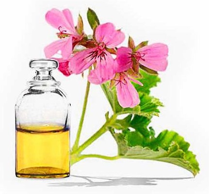 Patchouli essential oil. Properties and application for hair, face, magical to attract money, how to use in cosmetology