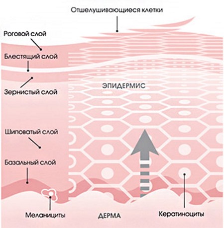 Retinoide lokal, systemisch, topisch, äußerlich für das Gesicht bei Akne, Falten, Akne, Psoriasis. Tabletten, Cremes, Salben, Lotionen