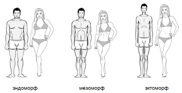 Home workouts for all muscle groups. Program with Reutova, without equipment, for ectomorph, weight loss, for the press