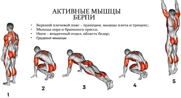 Effective exercise for slimming the abdomen and sides for women and men. Training program