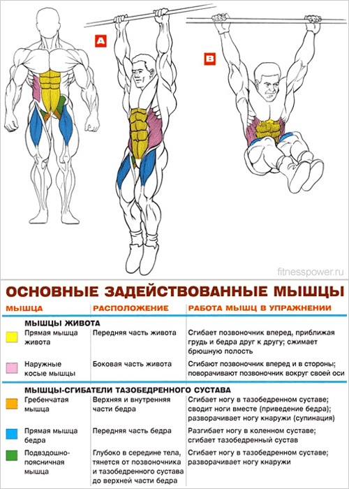 Effective exercise for slimming the abdomen and sides for women and men. Training program