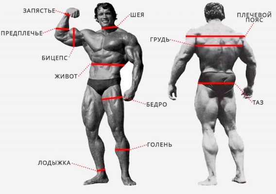 Ideal weight for your height for girls. Age table. Calculation according to Ducan, the formula of Malysheva, Duval, Brock, Dushanin