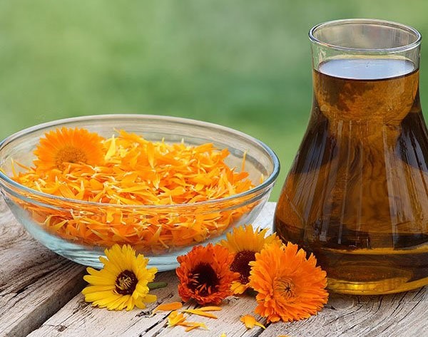 Calendula oil. Properties and application for hair, face, eyelashes, nails. Cosmetic, hydrophilic, essential. What to buy and how to cook