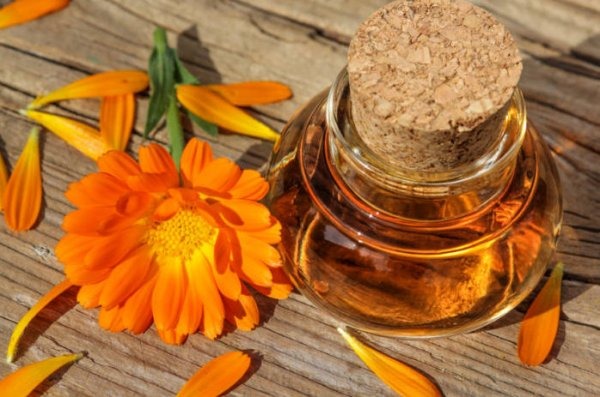 Calendula oil. Properties and application for hair, face, eyelashes, nails. Cosmetic, hydrophilic, essential. What to buy and how to cook