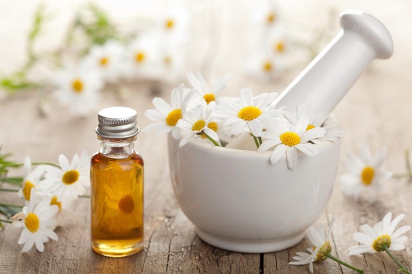 Chamomile for hair. Benefit and application: rinsing, masks, coloring balms. How to brew a pharmacy