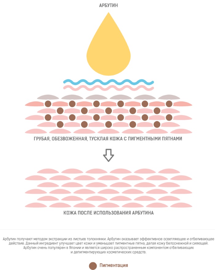 Arbutin. What is it for in cosmetics. Creams, masks for age spots, properties, application in gynecology