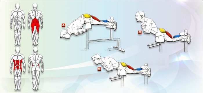 Hyperextension. What is it, a simulator, an execution technique. How to do an exercise at home without a simulator, on a fitball. Contraindications