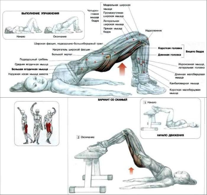 How to increase the ass quickly in 1 day, week. Exercises and folk remedies at home