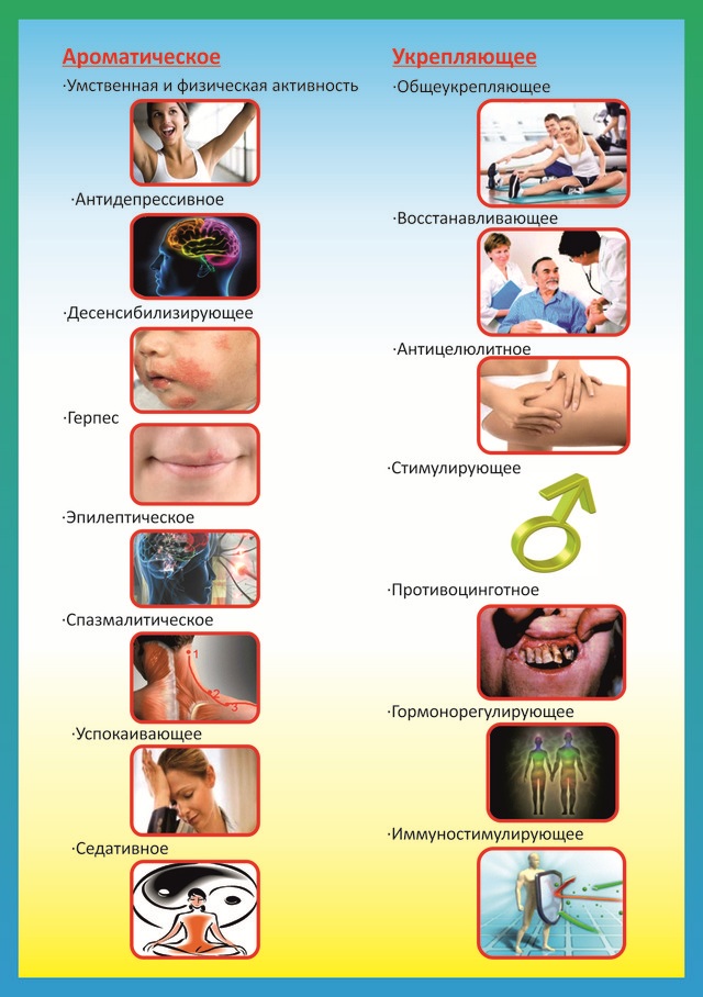 Olio di bergamotto. Proprietà e utilizzo a casa all'interno, per viso, capelli, pelle, scottature solari, bagno, per acne, herpes, lamblia, cellulite, in ginecologia, magia