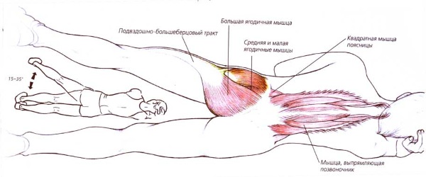 Esercizi di modellamento per dimagrire a casa. Video lezioni di fitness, esercizi per principianti, programma di allenamento