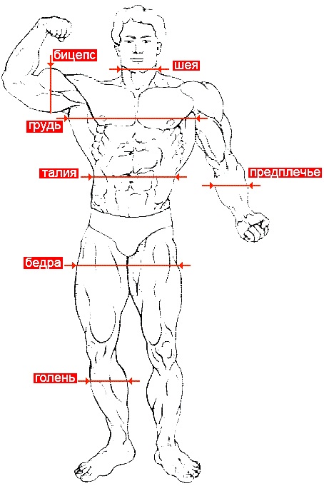 Esercizi di modellamento per dimagrire a casa. Video lezioni di fitness, esercizi per principianti, programma di allenamento