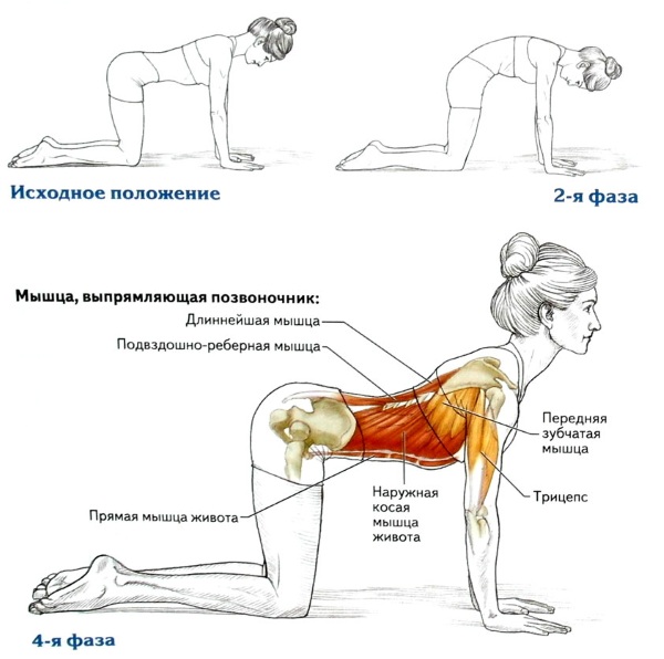 Exercises for the abdomen and sides to remove fat from the waist. Effective workouts at home