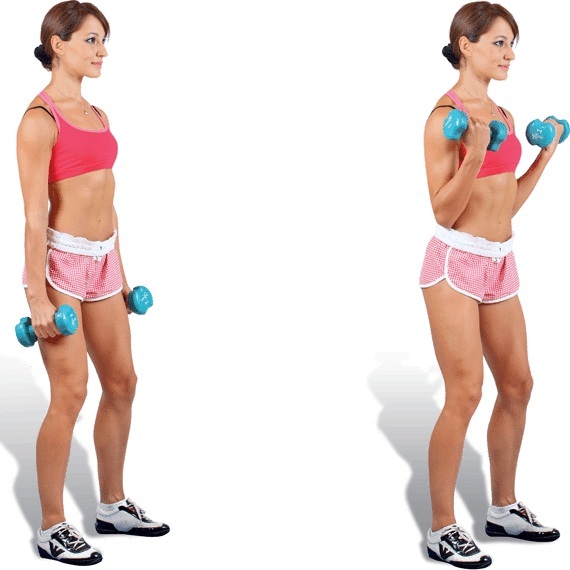 Hand exercises for girls at home. Workouts with and without dumbbells, body weight for biceps, triceps. How to build muscle